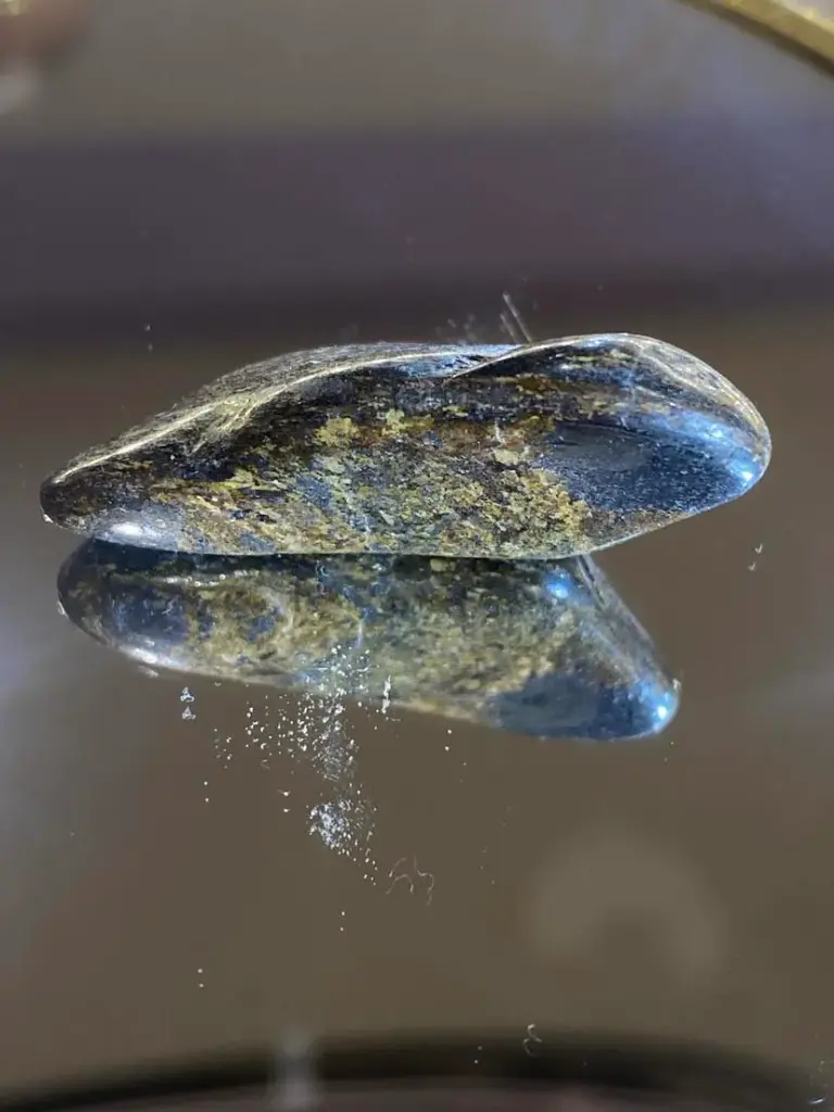 Bronzite
