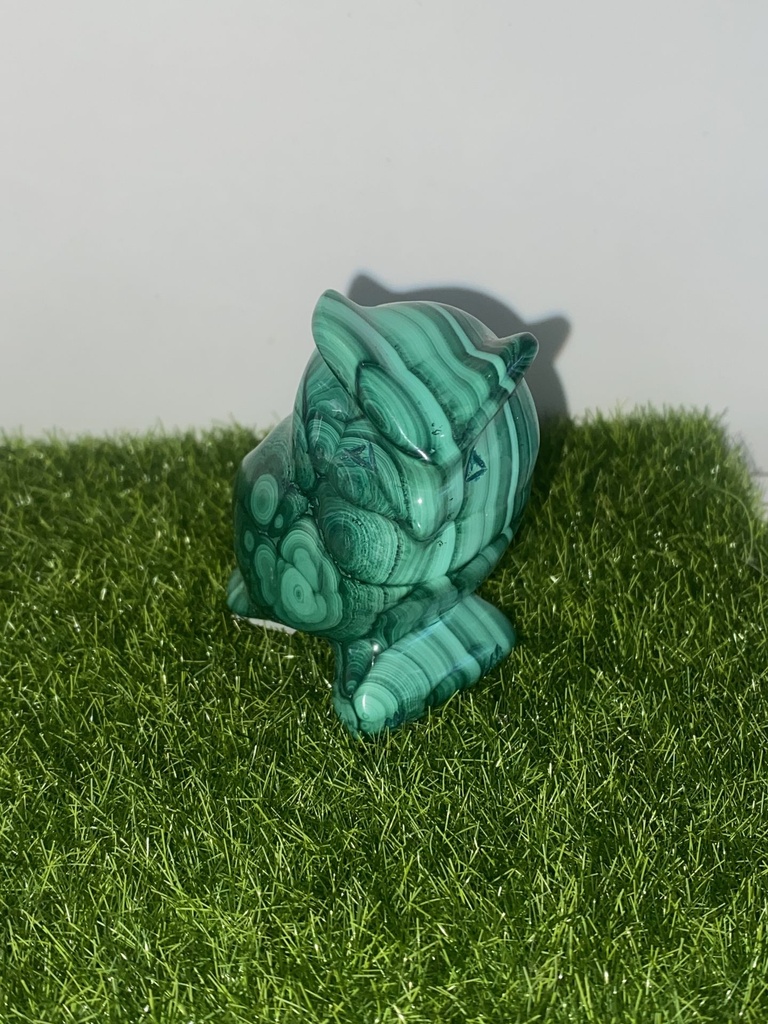 Chouette Malachite