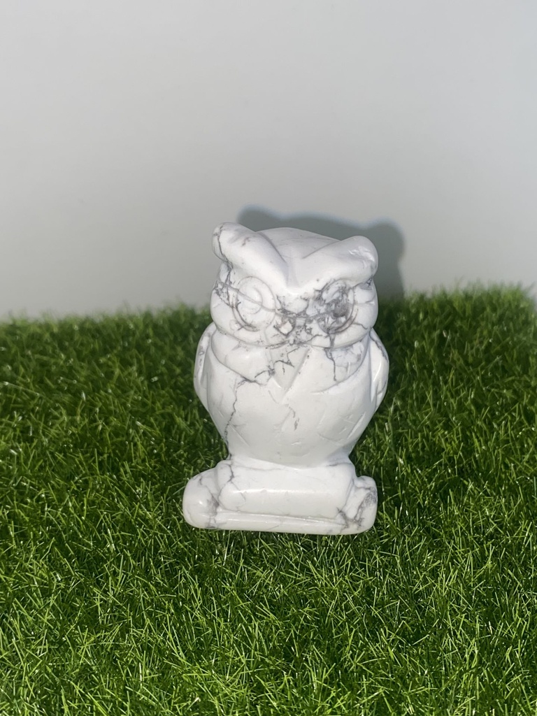 Chouette Howlite