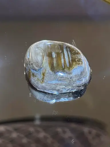 Bois fossilisé