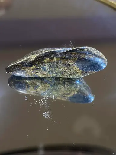 Bronzite