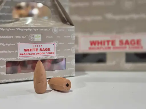 Sauge Blanche