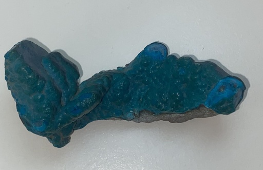 Chrysocolle