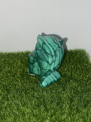 Chouette Malachite