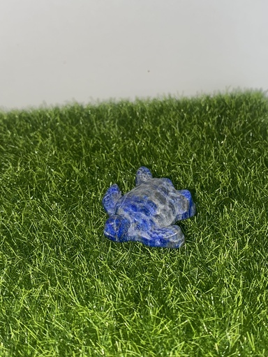 Tortue Lapis Lazuli