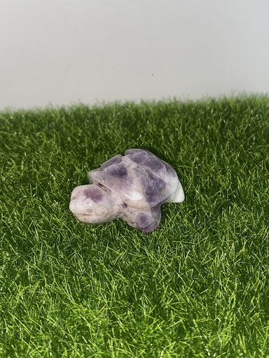 Tortue Améthyste