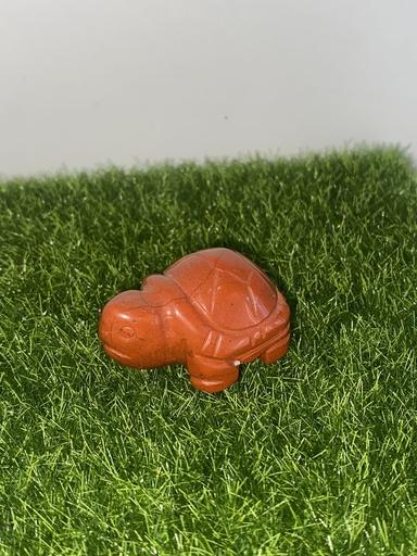 Tortue Jaspe Rouge